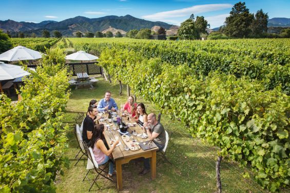 Hop n Grape Wine & Beer Tours