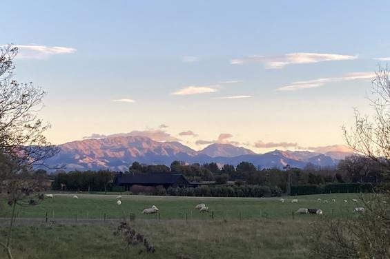 Scenic countryside near Woodside Bed and Breakfast in Tuamarina, Marlborough